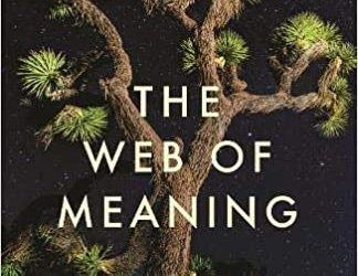 THE WEB OF MEANING, by Jeremy Lent